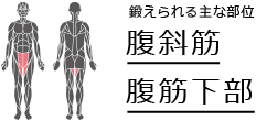 鍛えられる主な部位　腹斜筋　腹筋下部