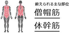鍛えられる主な部位　僧帽筋　体幹筋