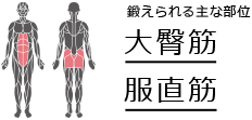 鍛えられる主な部位　大臀筋　腹直筋